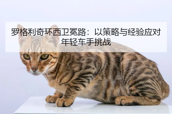 luo-ge-li-qi-huan-xi-wei-mian-lu-yi-ce-lve-yu-jing-yan-ying-dui-nian-qing-che-shou-tiao-zhan-2-574.jpg